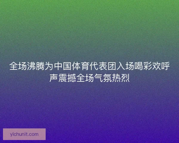 全场沸腾为中国体育代表团入场喝彩欢呼声震撼全场气氛热烈 全场沸腾为中国体育代表团入场喝彩欢呼声震撼全场气氛热烈